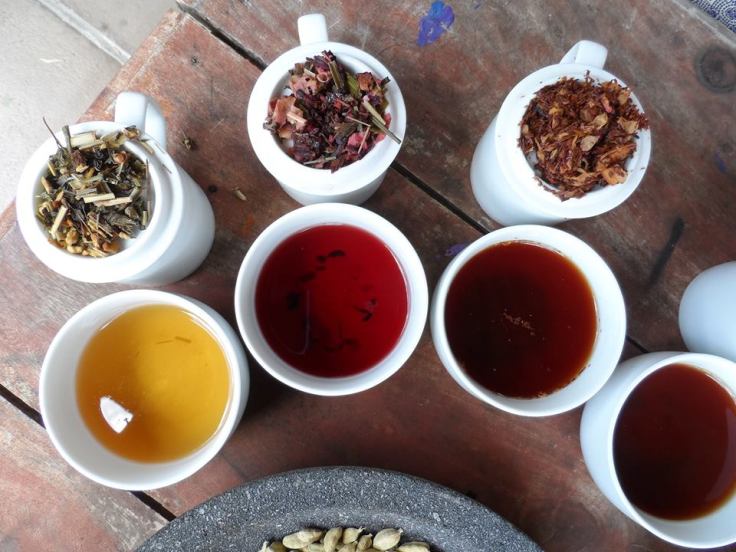 1451614_596227857097054_3671414_n